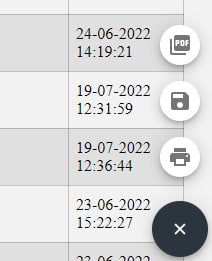Файл:Reports Menu Save Print.png