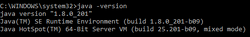 Java201windows.png