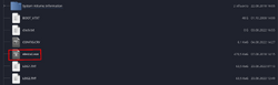 Device2.png